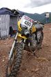 Erzbergrodeo 1489849