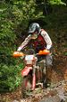 Red Bull Hare Scramble 1492565