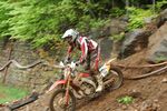 Red Bull Hare Scramble 1492591