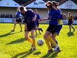 Fußballspiel am 10.6.06 7090683