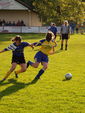 Fußballspiel am 10.6.06 7090837