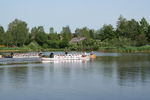 1. Salzburger Drachen Boot Cup 1534883