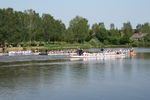 1. Salzburger Drachen Boot Cup 1534902