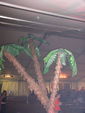 Beach Party 2006 1550314