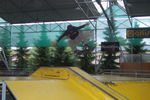 SkateSession06 1551449