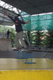 SkateSession06 1551454