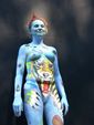 World Bodypainting Festival 1613326