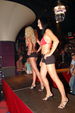 Miss Bikini OÖ 2006 1641031