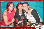 Disco Pasha 164363