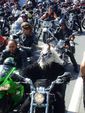 European Bike Week 1768114