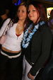 Hawaii Party 1885403