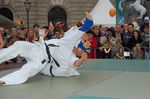 Nationalfeiertag 2006 in Wien 1908157