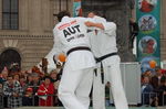 Nationalfeiertag 2006 in Wien 1908159