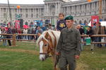 Nationalfeiertag 2006 in Wien 1908204