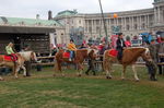 Nationalfeiertag 2006 in Wien 1908205