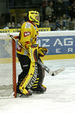 Vienna Capitals 11042991