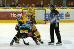 Vienna Capitals 11043060