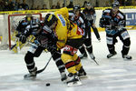 BlackWings - Vienna Capitals 1946511