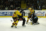 Vienna Capitals 11043344