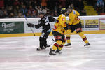 Vienna Capitals 11043412