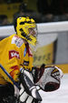 Vienna Capitals 11043438