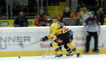 Vienna Capitals 11043465