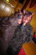 Krampuskränzchen 2006 12002310