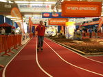 Erste Bank Vienna Sport Festival 2030239