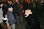 Faistenauer Krampuss Lauf 2035370