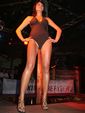 Miss Mühlviertel Wahl 2006 2036933