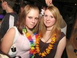 SZENE1-HAWAII-PARTY 2158376