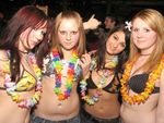 SZENE1-HAWAII-PARTY 2158398