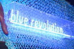 Blue Revolution 2195454