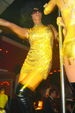 The Golden Classy Muschi Club 2216508