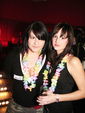 SZENE1-HAWAII-PARTY 2308446