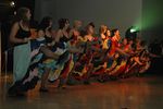 HLF Ball 2007 'Moulin Rouge' 2315052