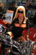 Bikermesse 2403905