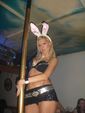 Bunny Party 2426118