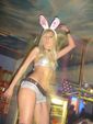 Bunny Party 2426144