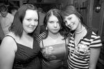 Hasen - Party 2437273