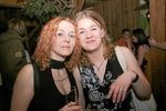 Hasen - Party 2437295