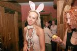 Hasen - Party 2437352