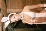 Hasen - Party 2437354