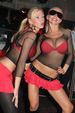 Striptease Show 2446921