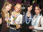 SZENE1-HAWAII-PARTY 2475320