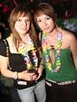 SZENE1-HAWAII-PARTY 2475348