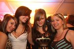 Spring - Break 2485040