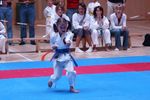 Karate Landesmeisterschaft 2487061