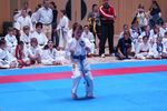 Karate Landesmeisterschaft