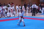 Karate Landesmeisterschaft 2487064